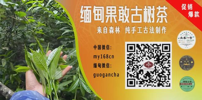 懂球帝消息：申花vs国安的比赛预计将延期进行，补赛时间待定