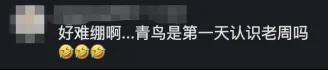 CBA速递!顾全首秀深圳不敌江苏,辽篮官宣签下段睿琪,同曦连签5人